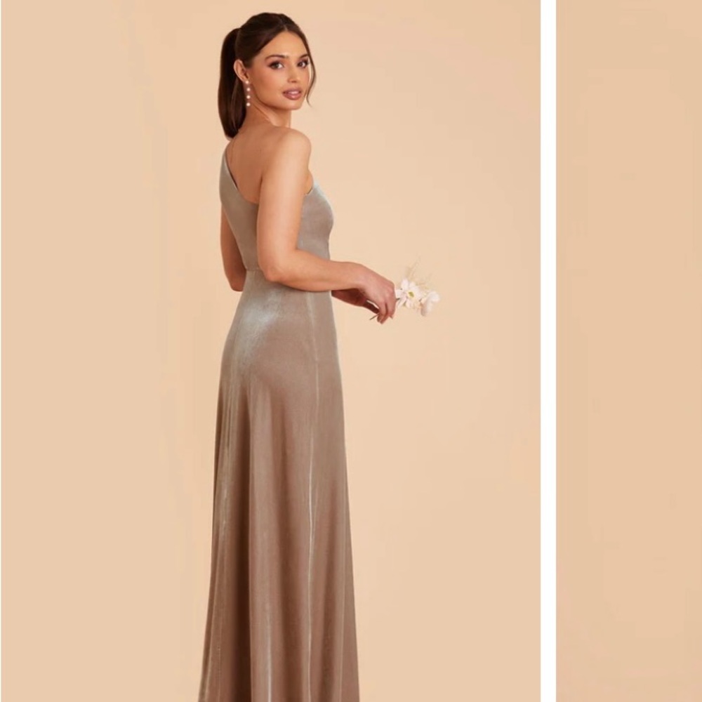 Birdy Grey Kira Velvet Taupe Dress size M NWT